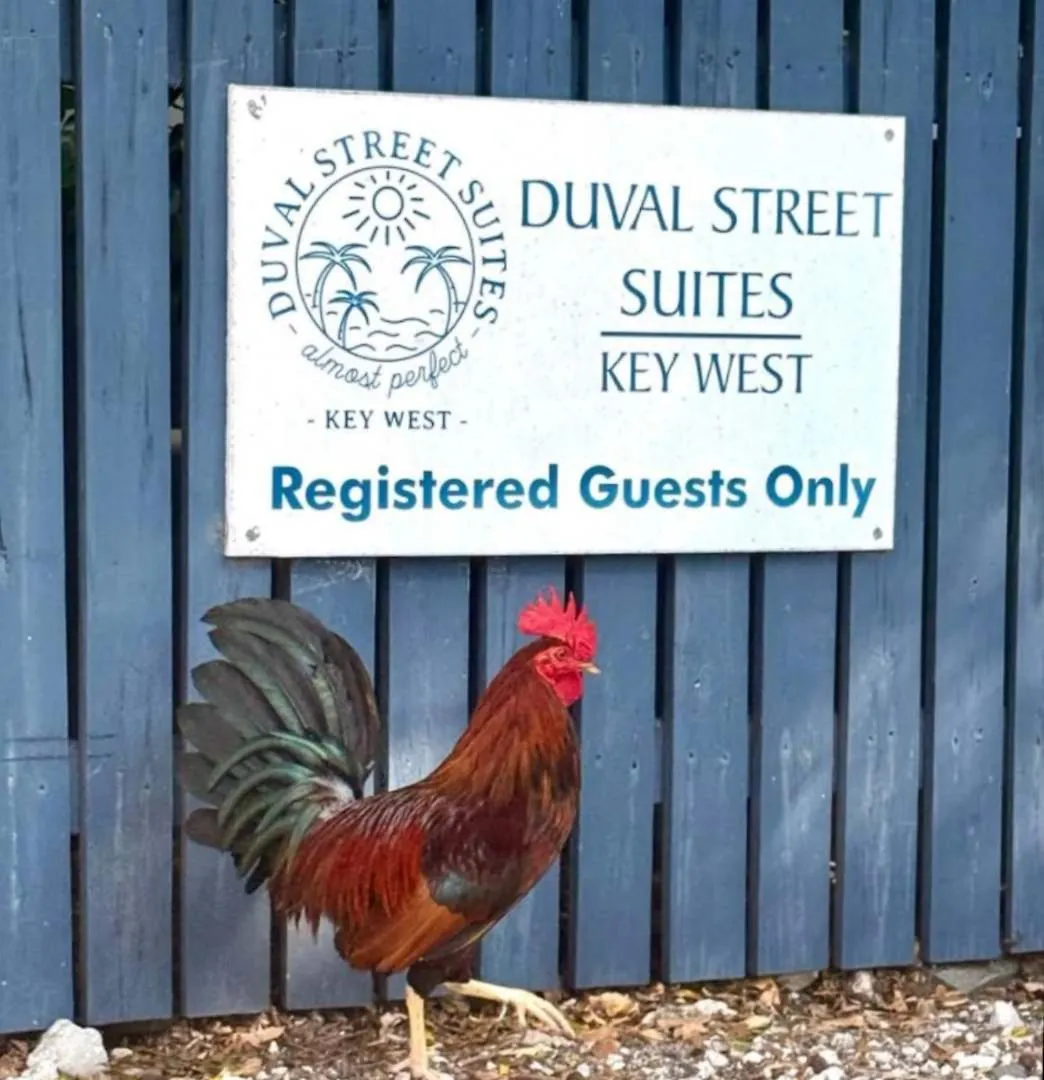 6 Bedroom 6 Bath On Duval Street Holiday home Key West