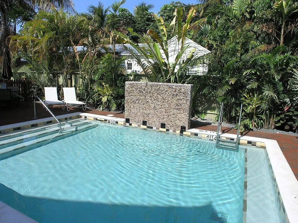 Travelers Palm 2*