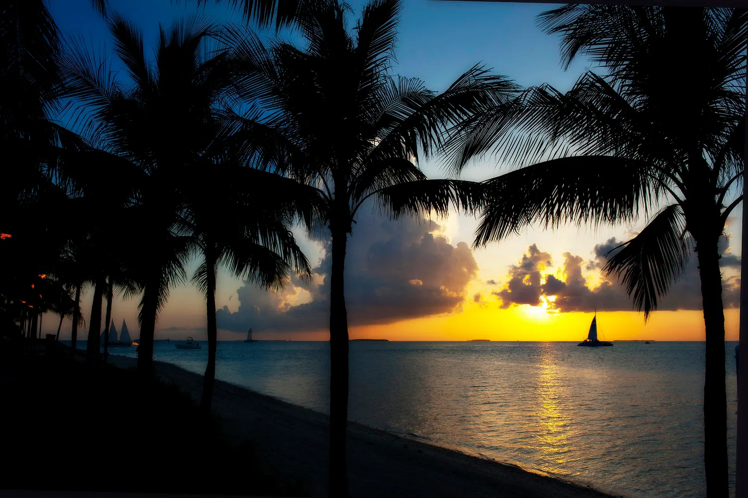 Ośrodek wypoczynkowy Sunset Key Key West