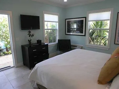 Travelers Palm
