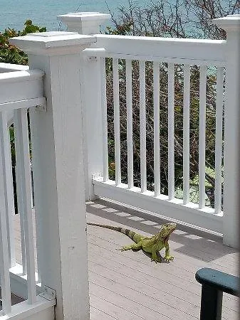 Coconut Key West