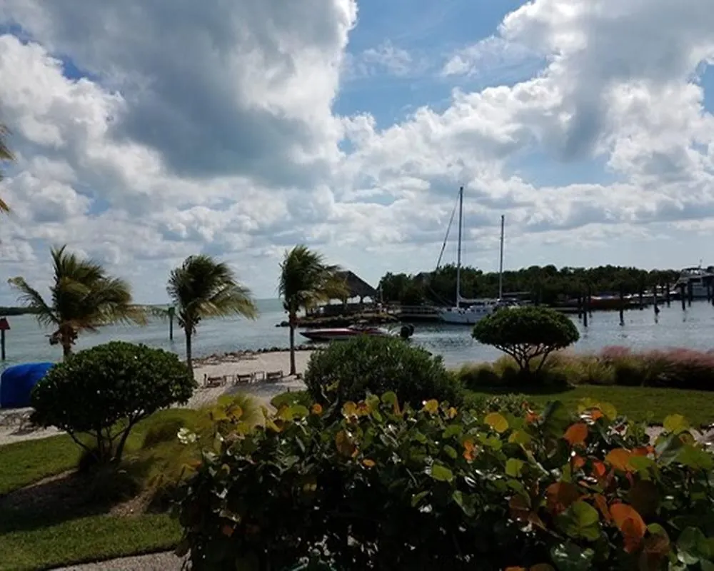 Coconut * Key West