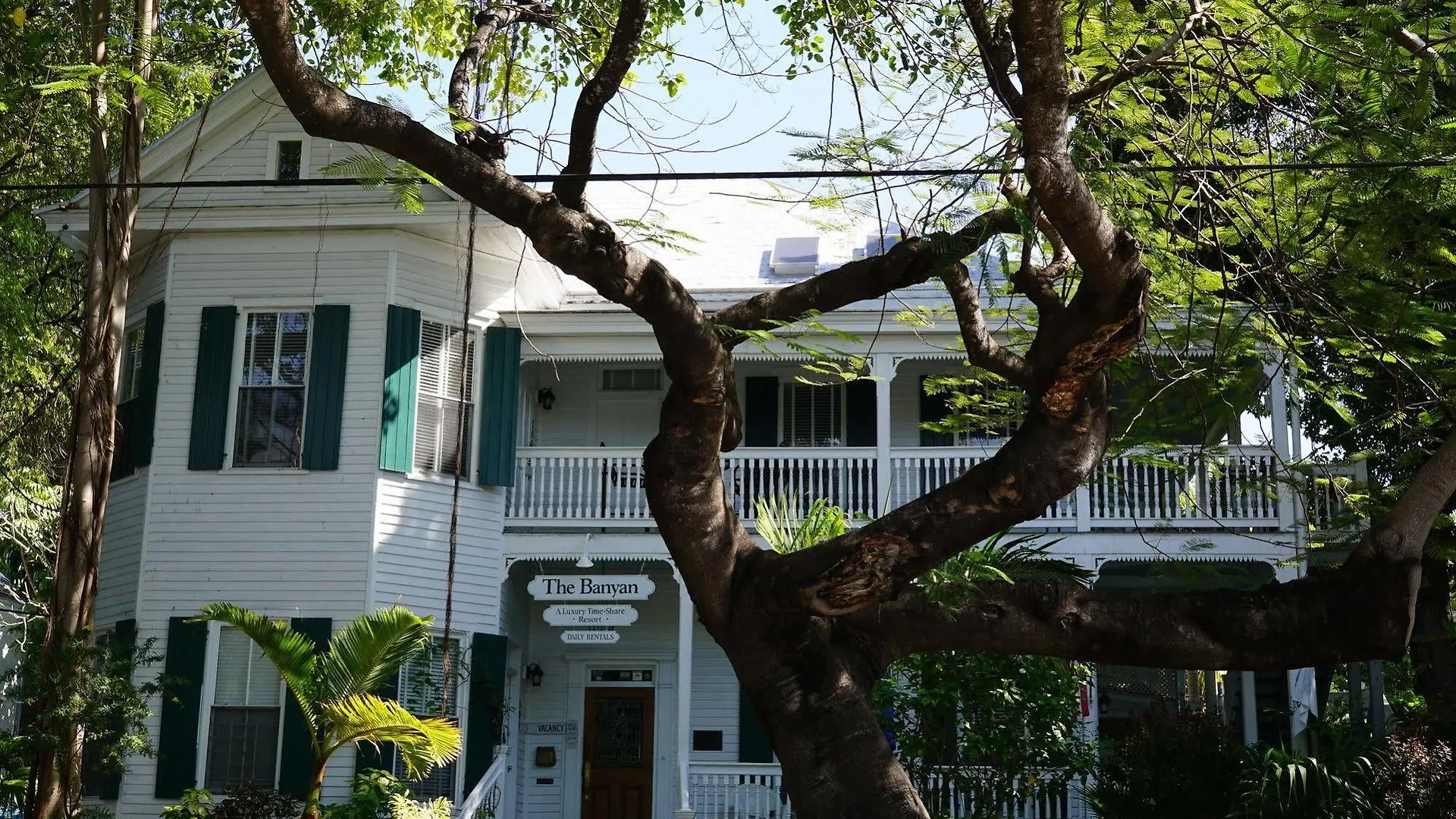 The Banyan Apartment