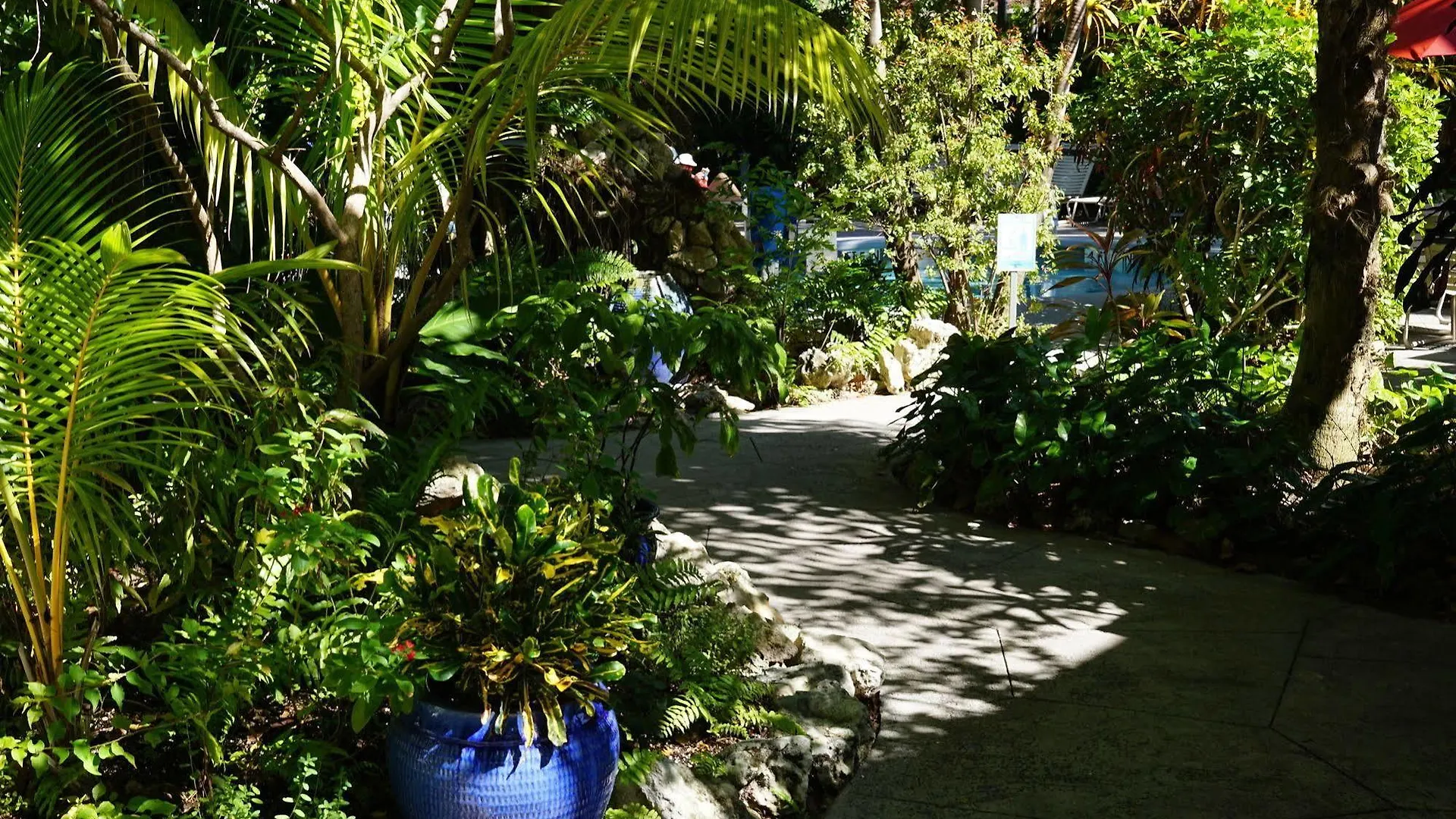 The Banyan * Key West