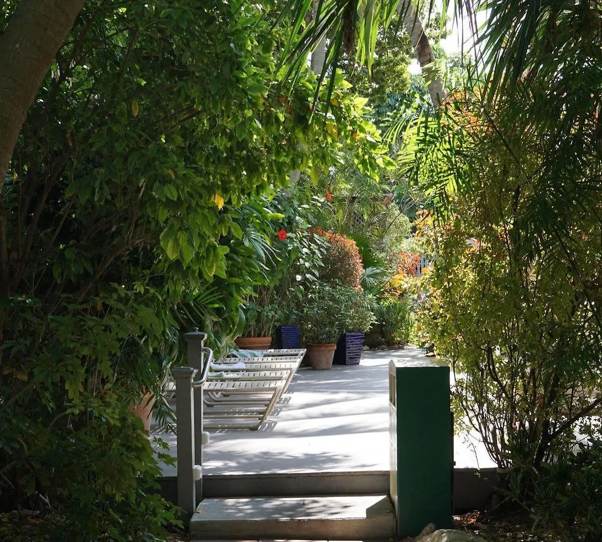 The Banyan * Key West
