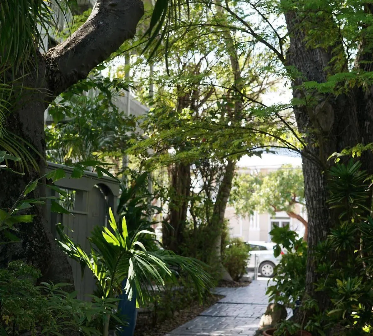 Apartment The Banyan