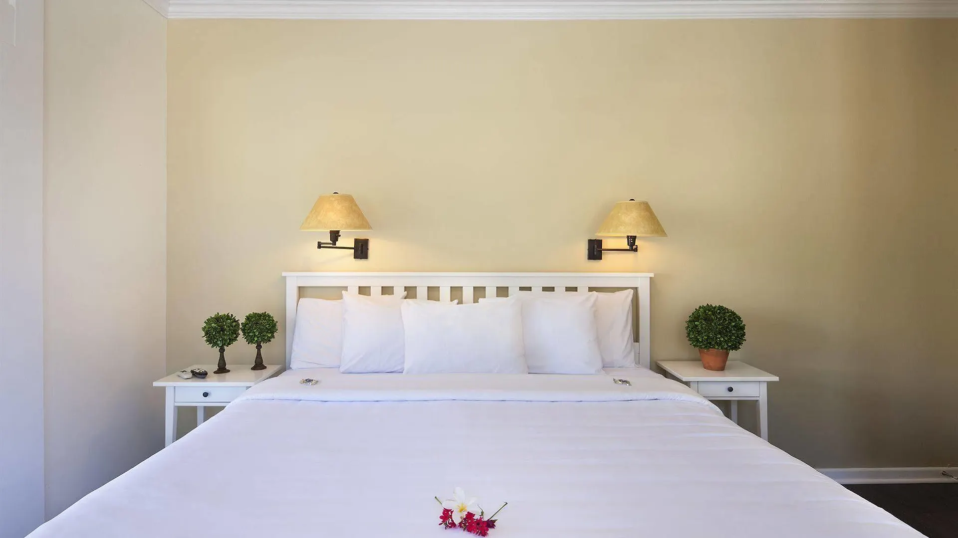 Inn Southernmost Adult Exclusive