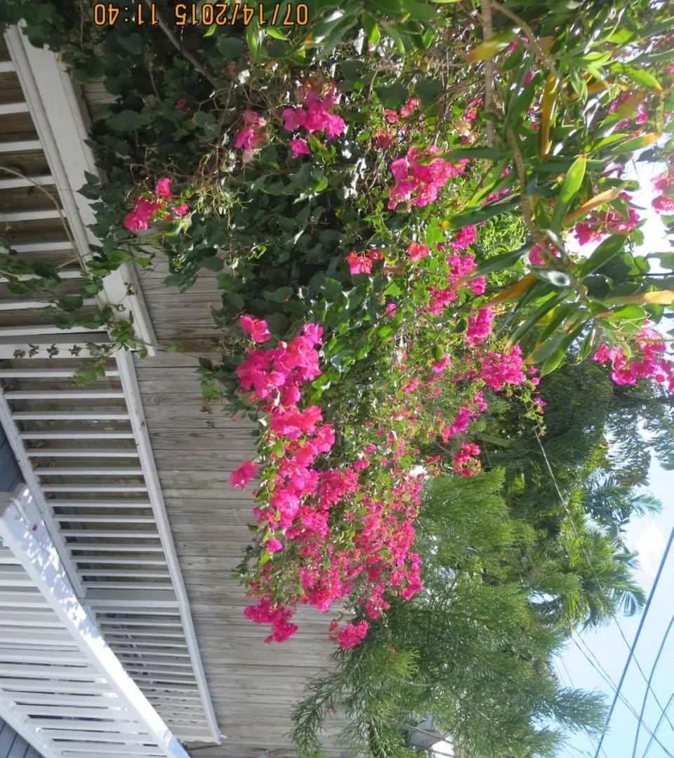 Zajazd The On Fleming Key West