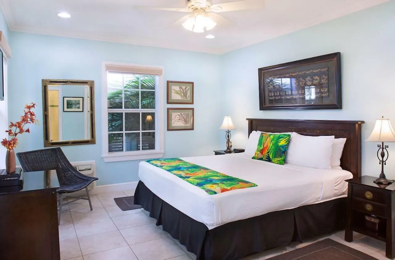 Travelers Palm