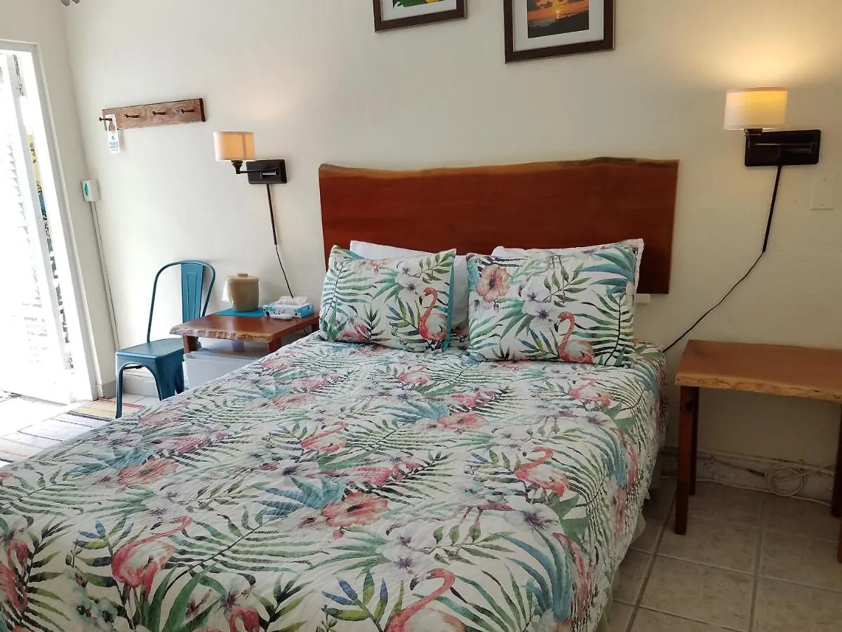 Alexander Palms Court - No Hidden Fees! *