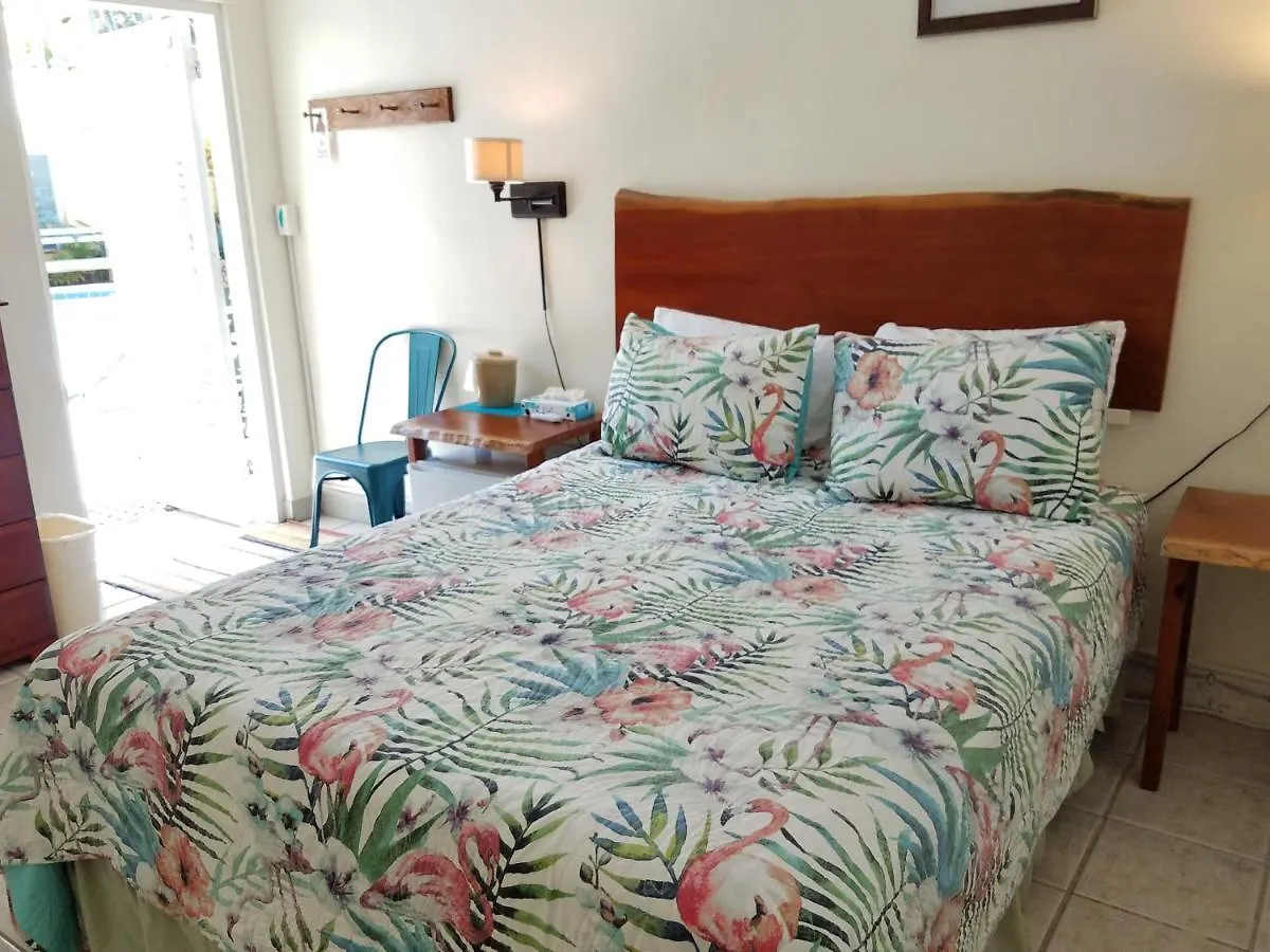 Alexander Palms Court - No Hidden Fees! Guest house Key West