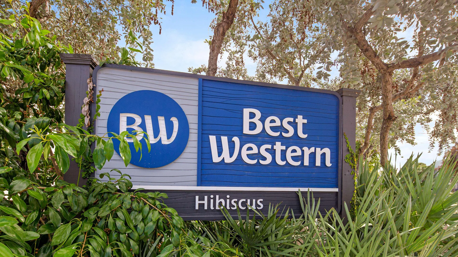 Best Western Hibiscus 3*