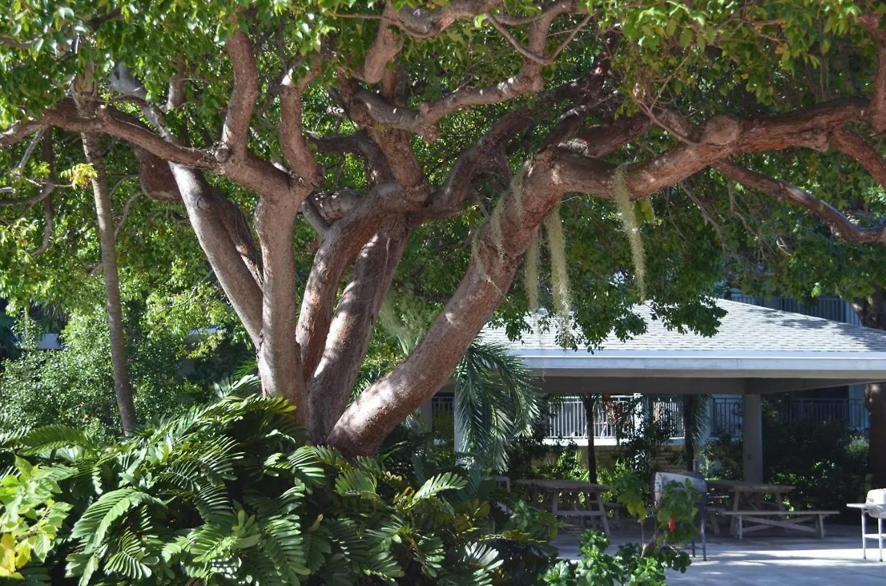 Ocean Hideaway On The Atlantic شقة *