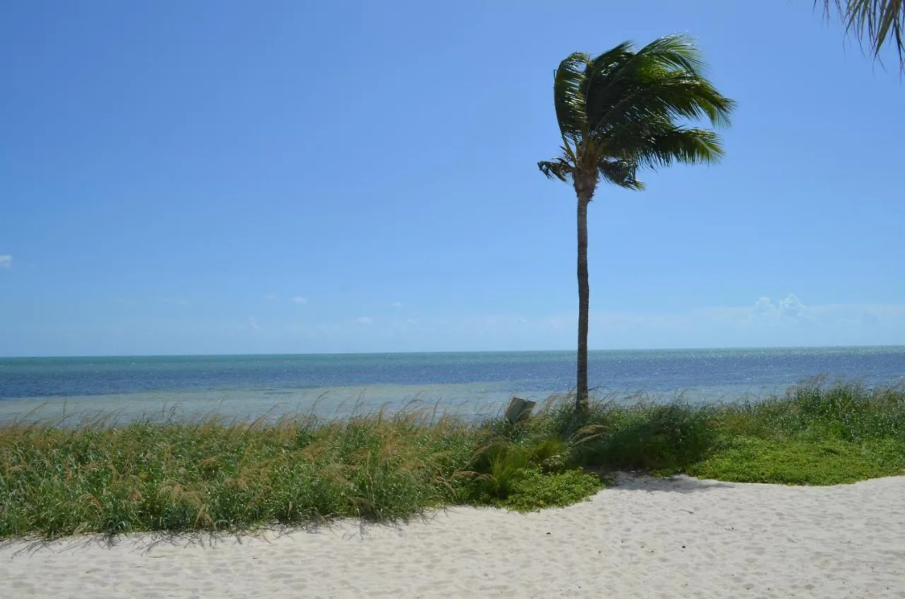 Poolside Breeze Retreat Apartment Key West