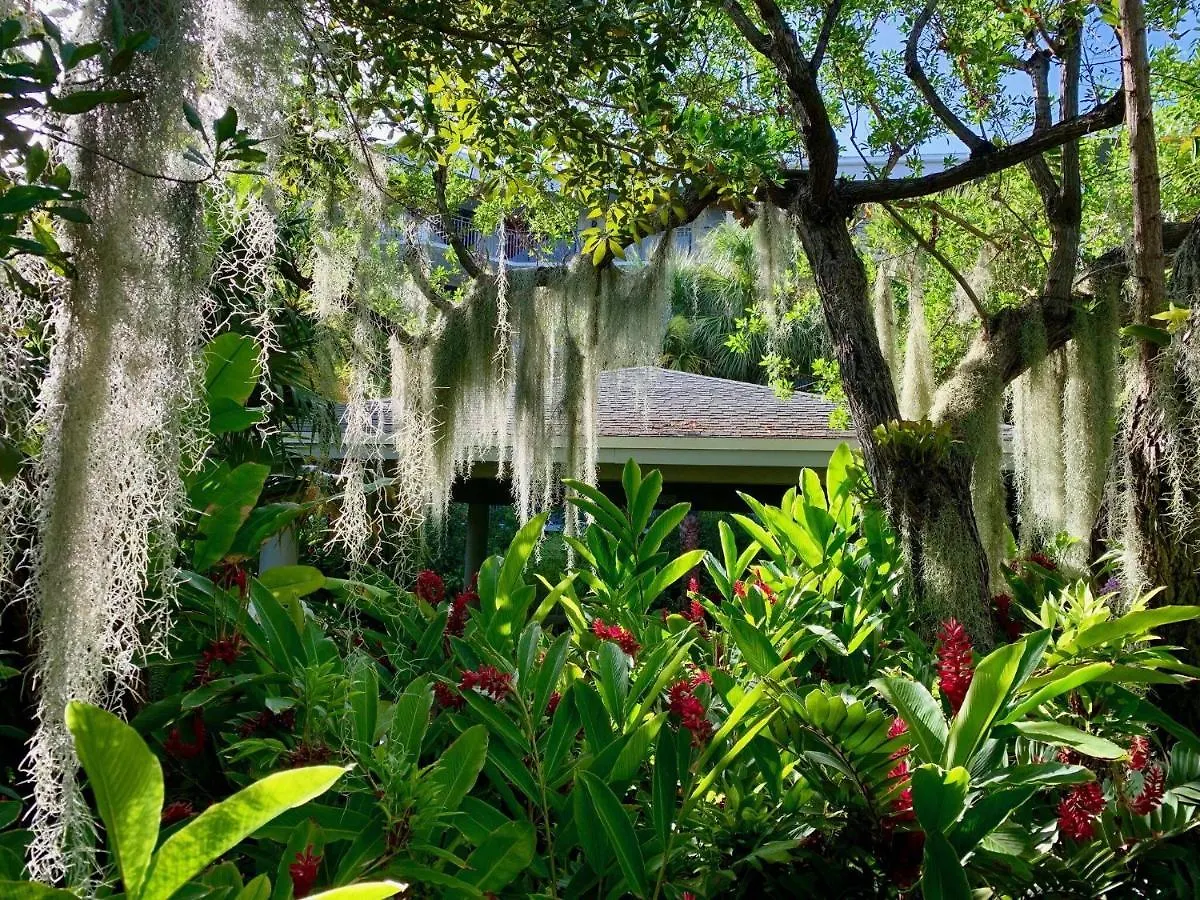 Апартаменты Tropical Paradise Ки-Уэст
