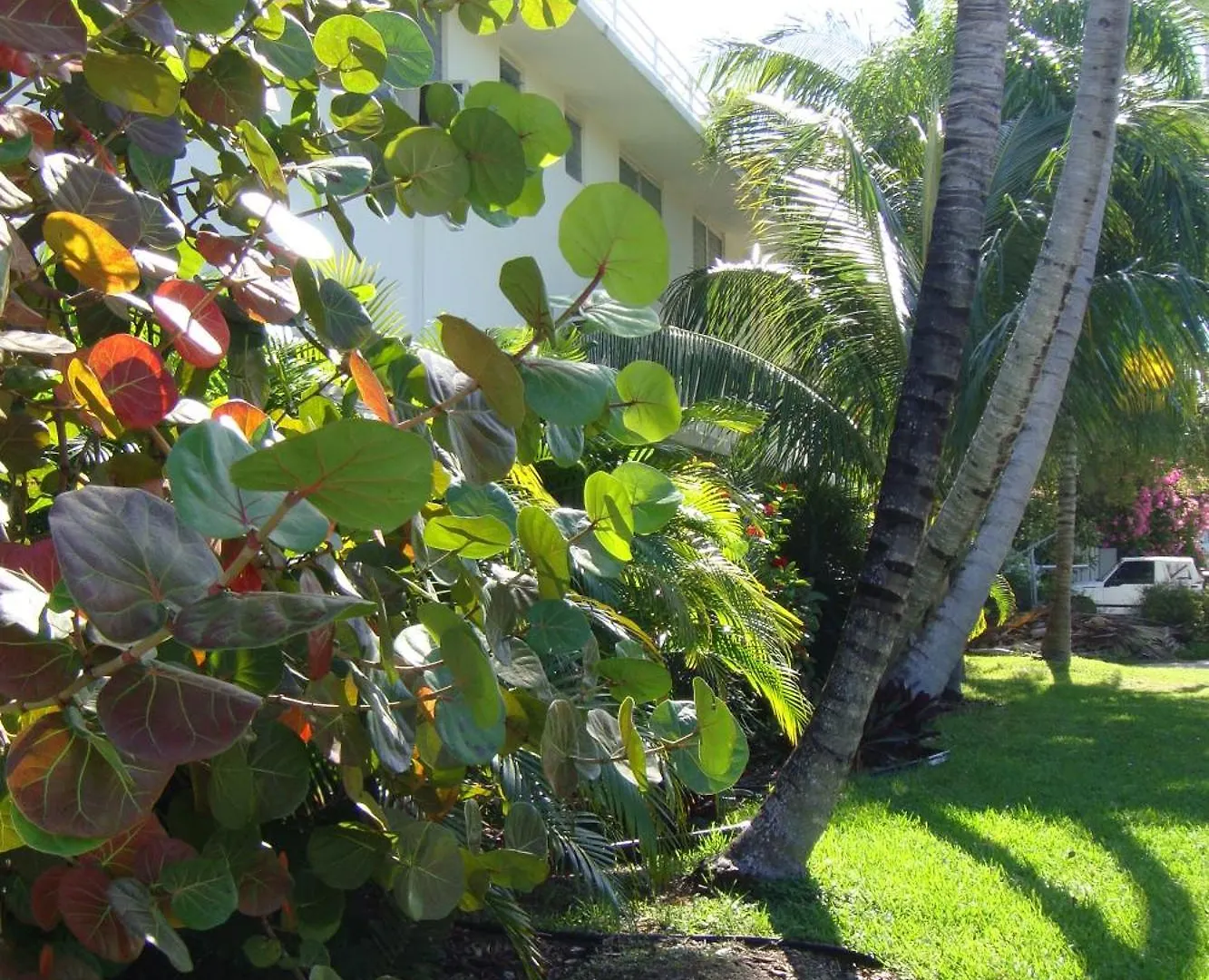 El Patio 2* Key West
