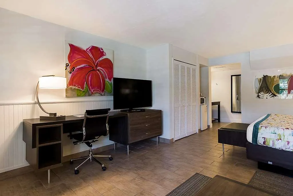 Best Western Hibiscus