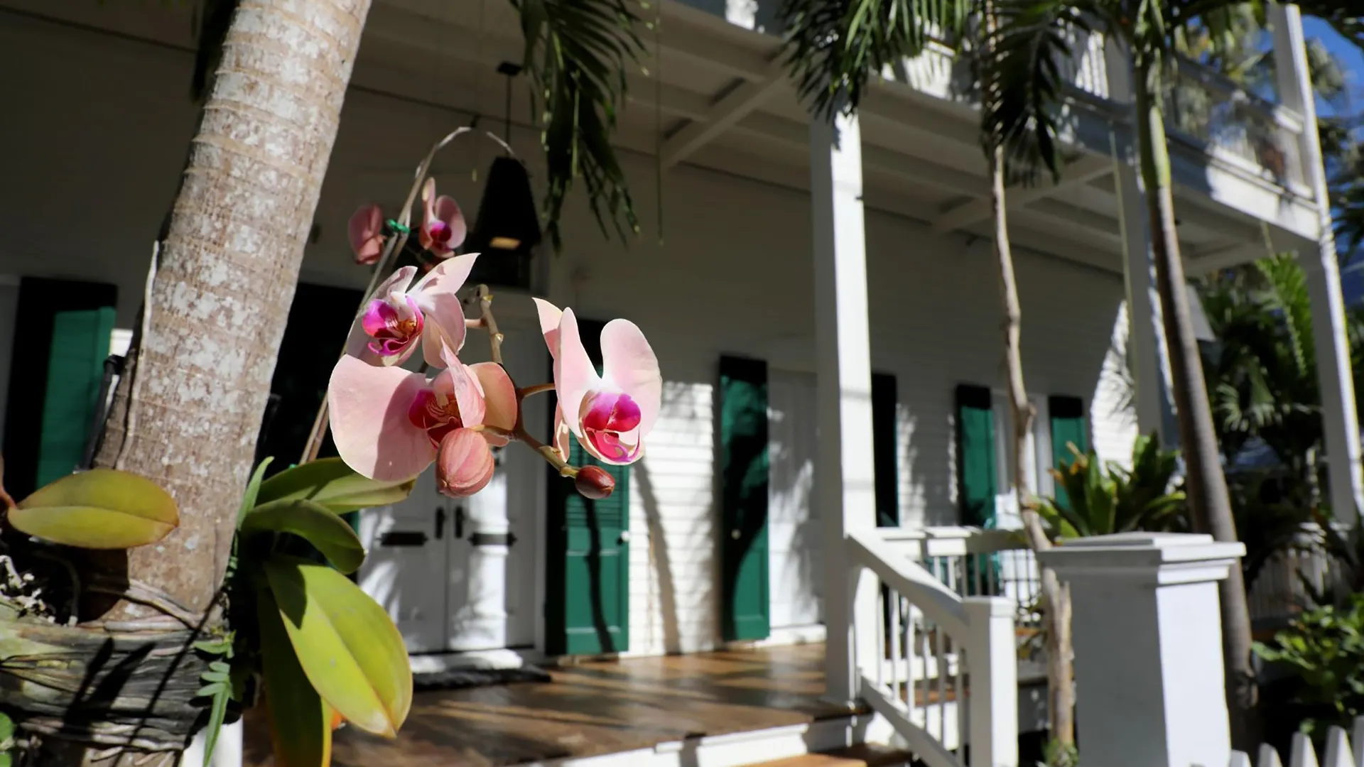 Ridley House - Historic (adults Only)