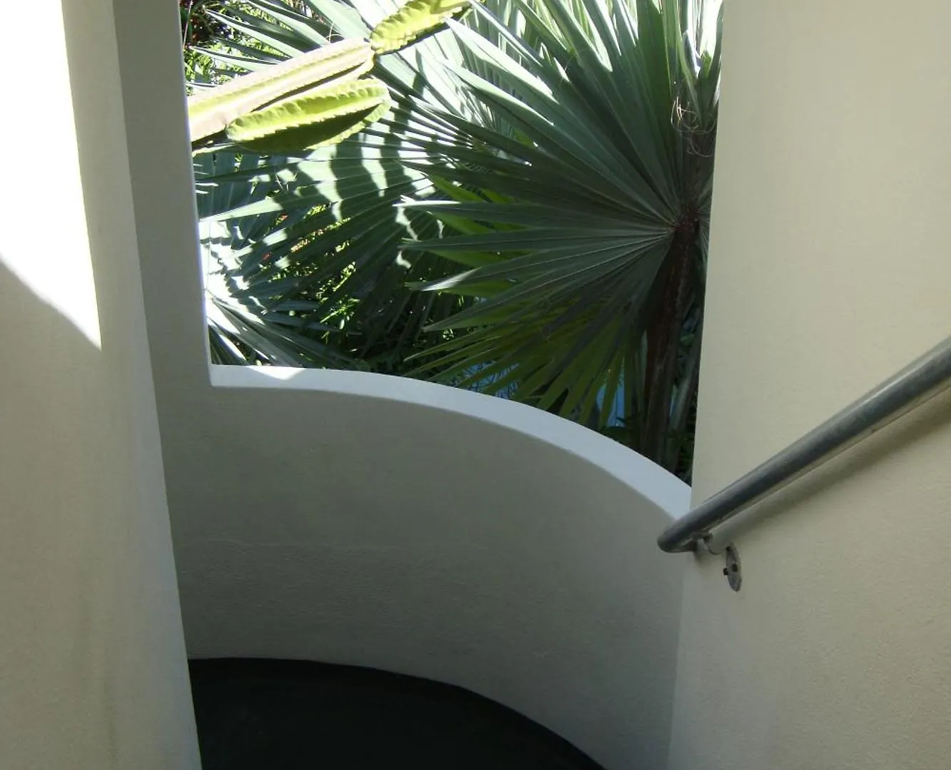 El Patio