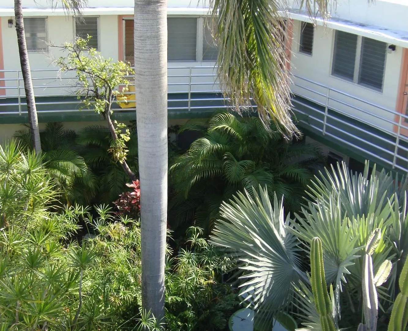 Motel El Patio 2*