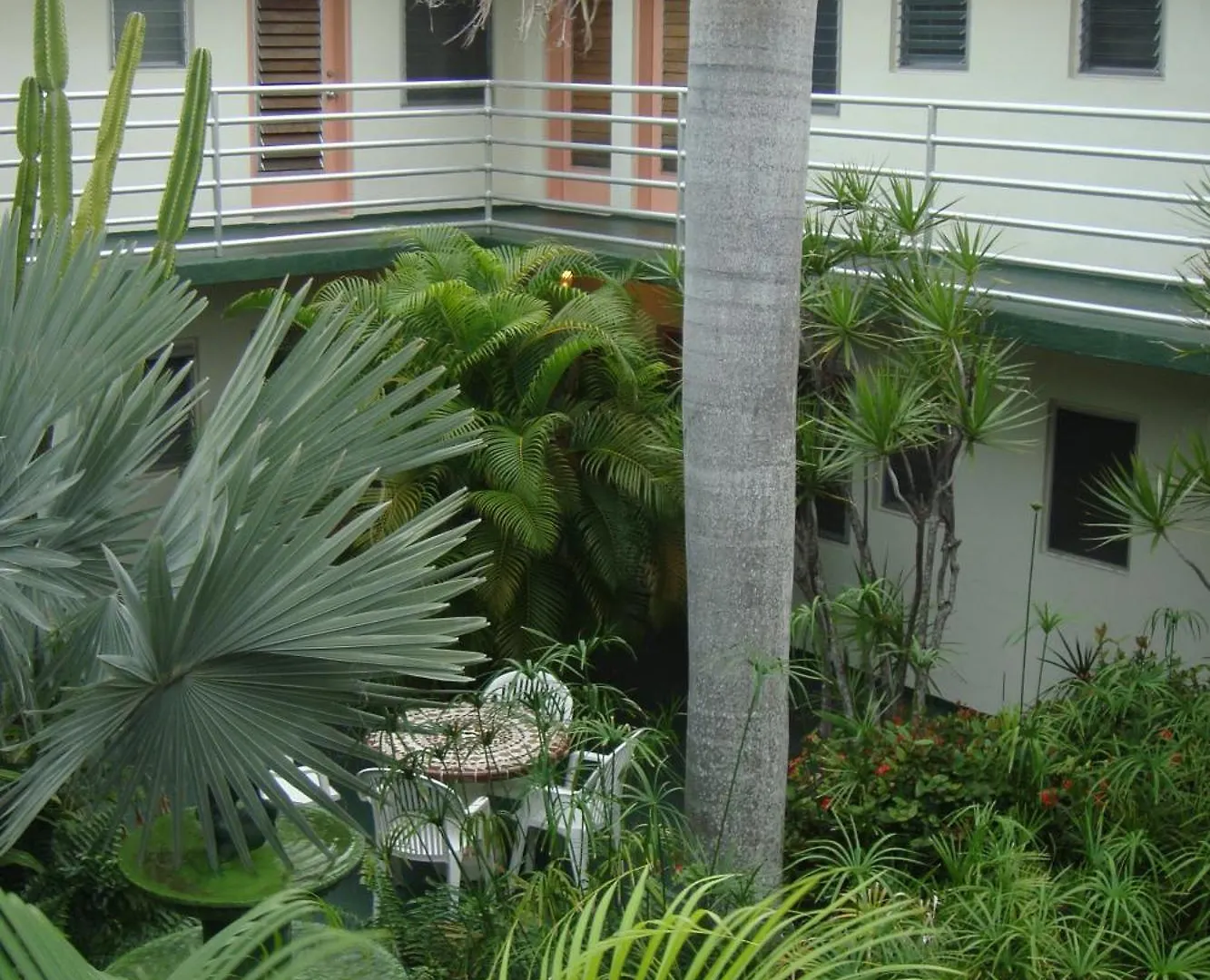 El Patio