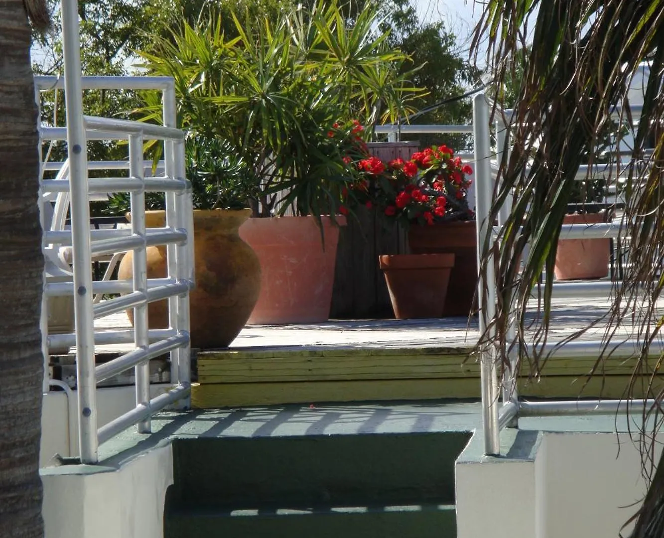 Motel El Patio 2*