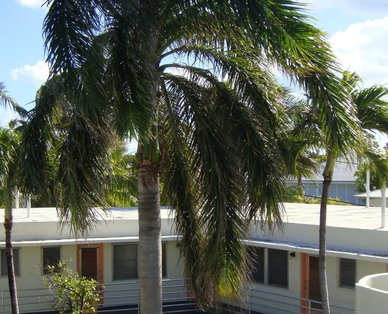 Motel El Patio
