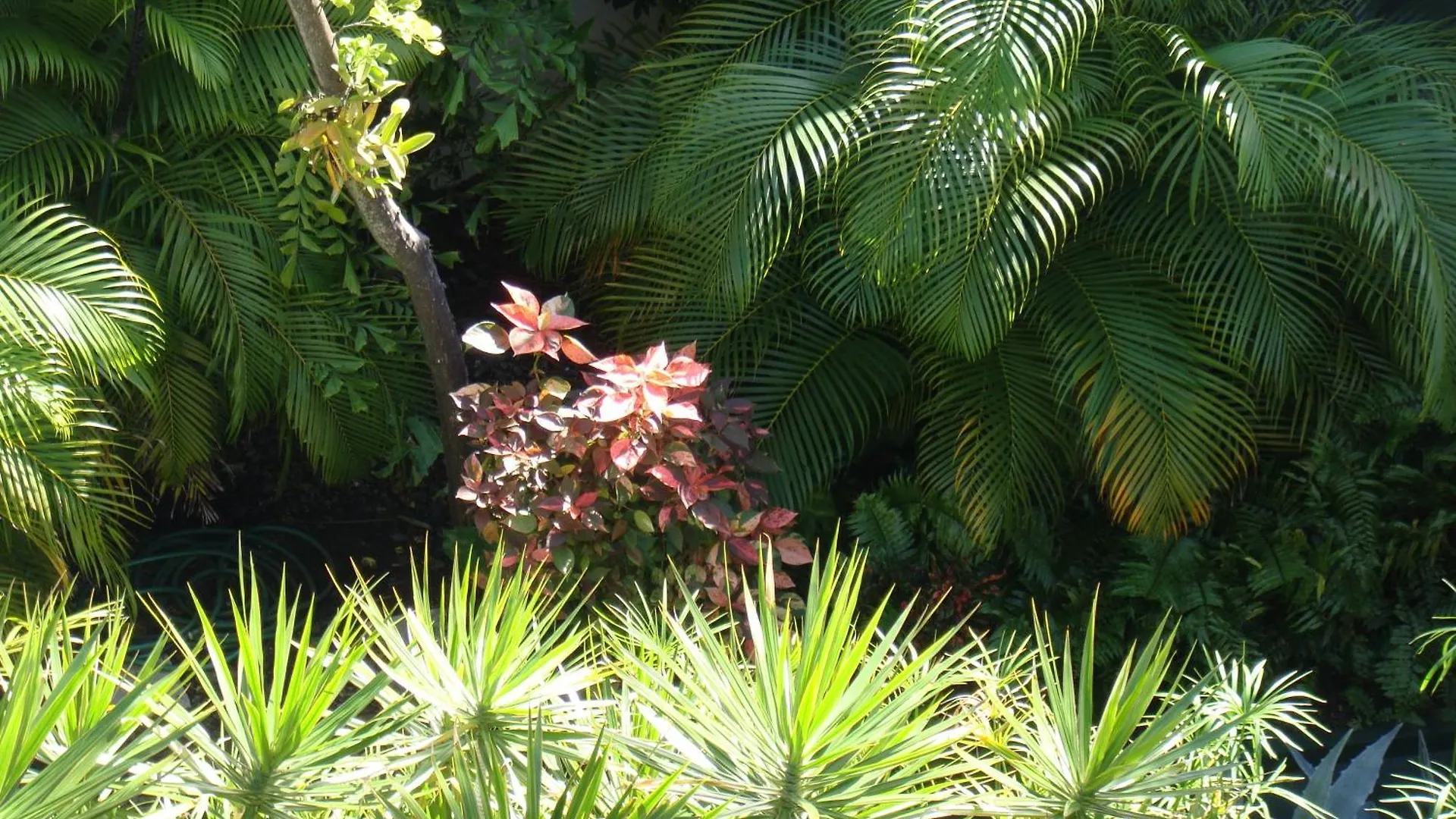 El Patio