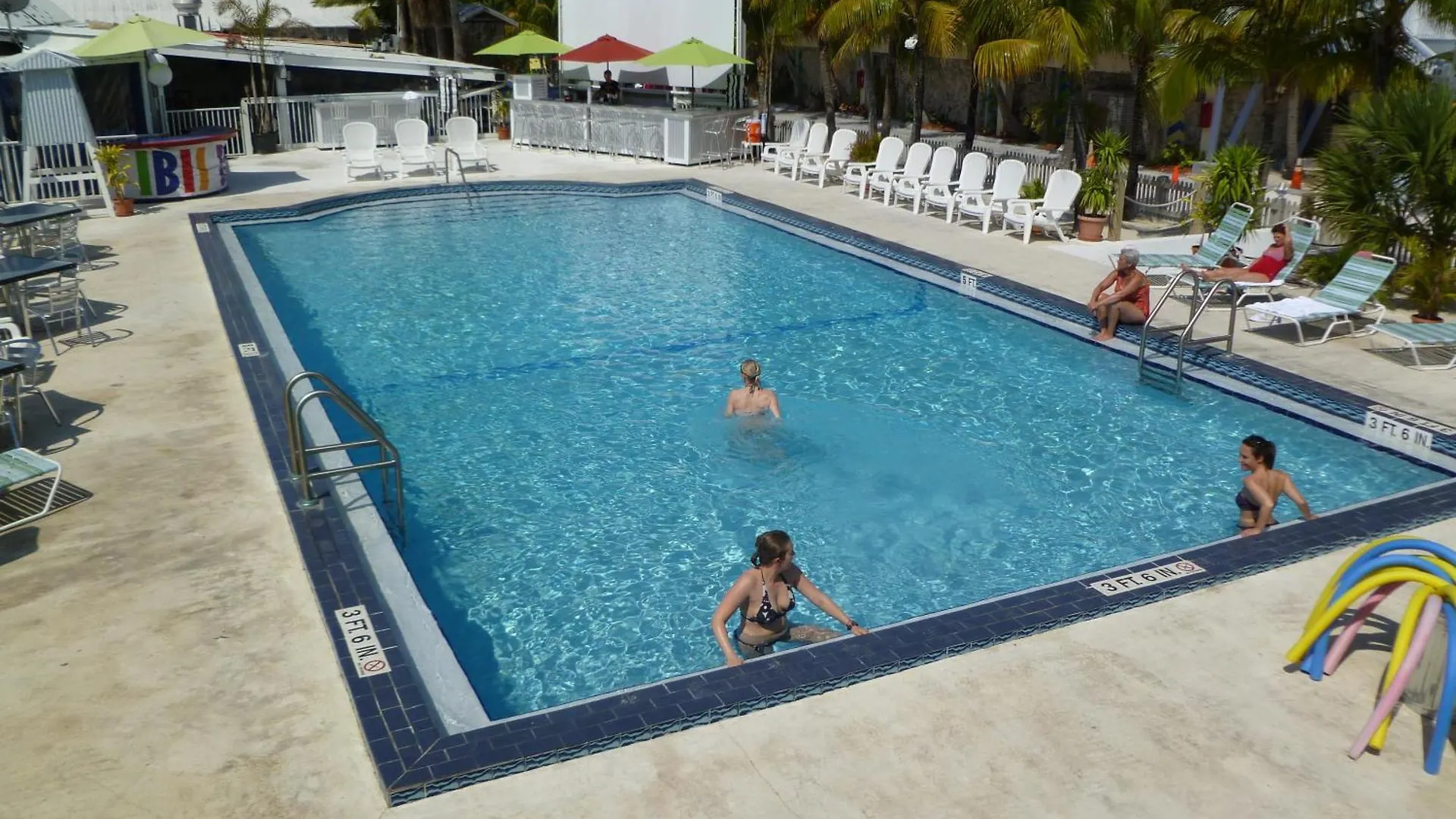 Ibis Bay