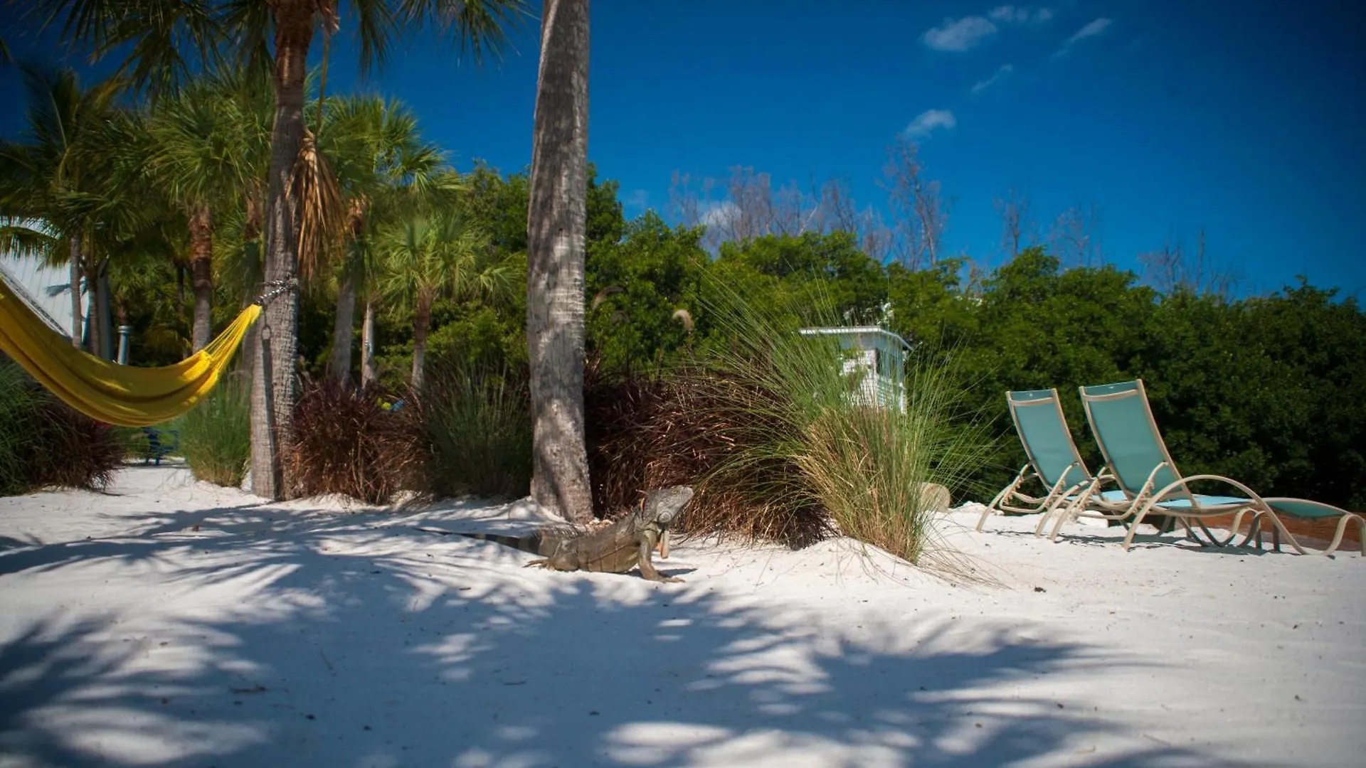 Ibis Bay Resort Key West