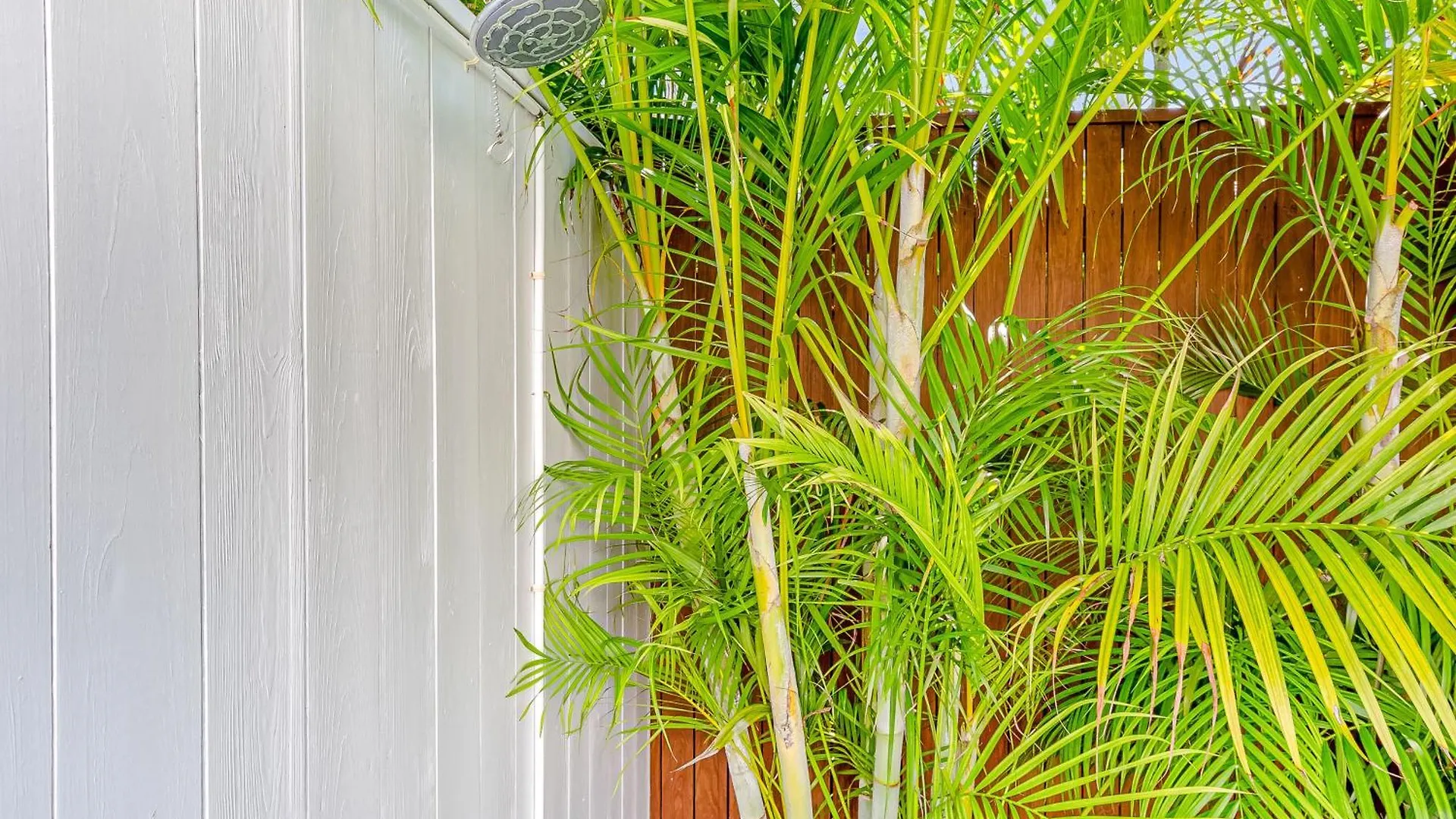 Tropical Vibes Semesterbostad