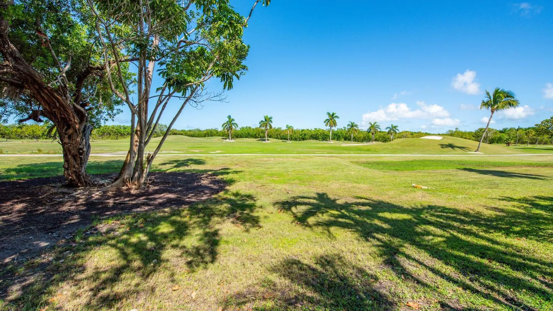 At The Golf Club - Monthly *