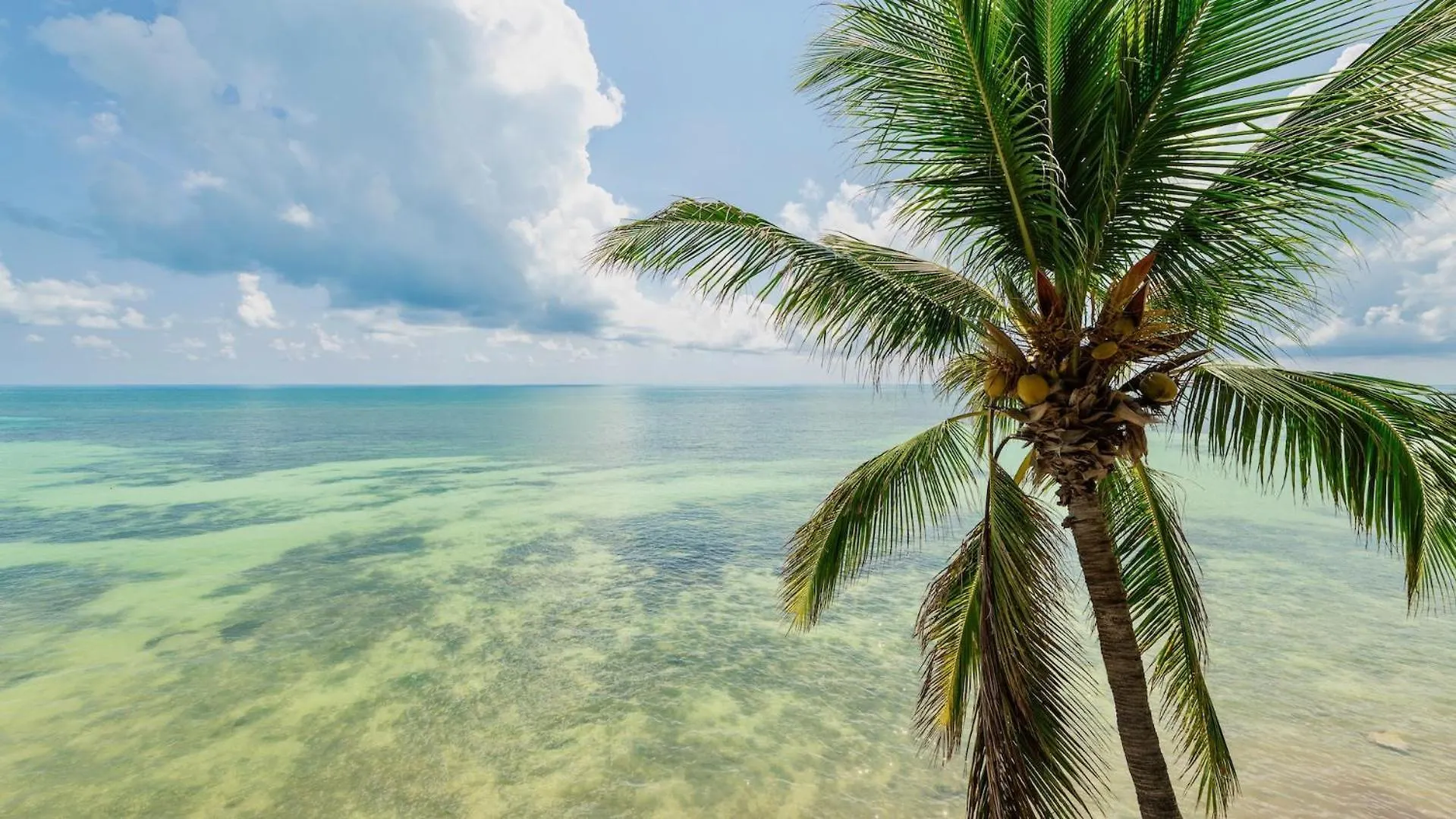 Windswept Palms By Last Key Realty * Cayo Hueso