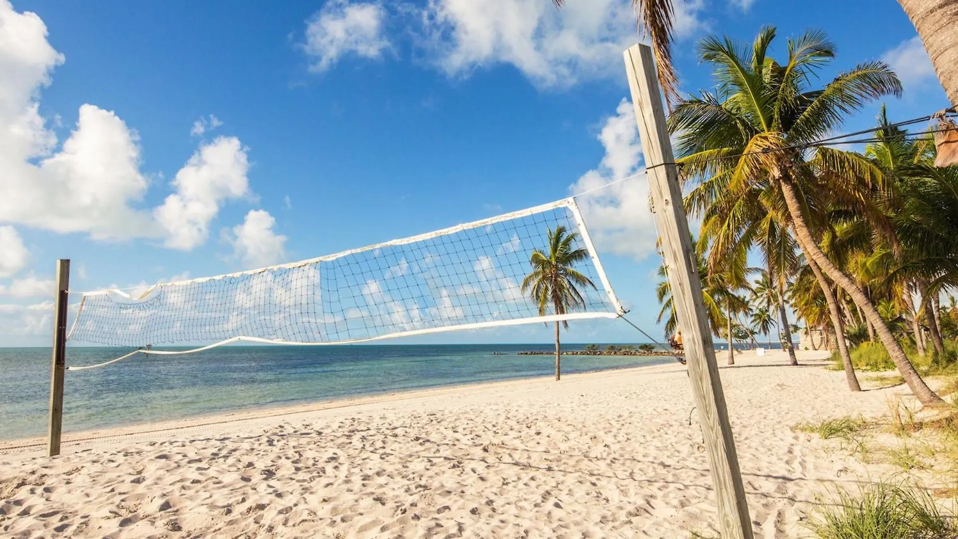 Windswept Palms By Last Key Realty Apartamento