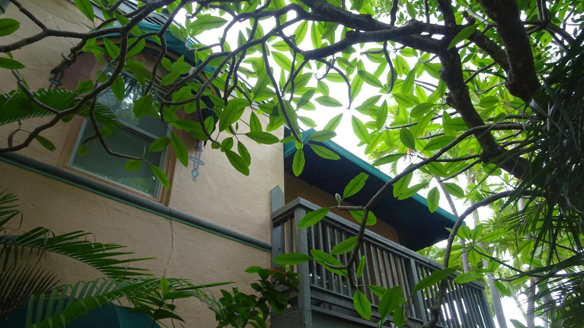 Dreams By The Bed and Breakfast