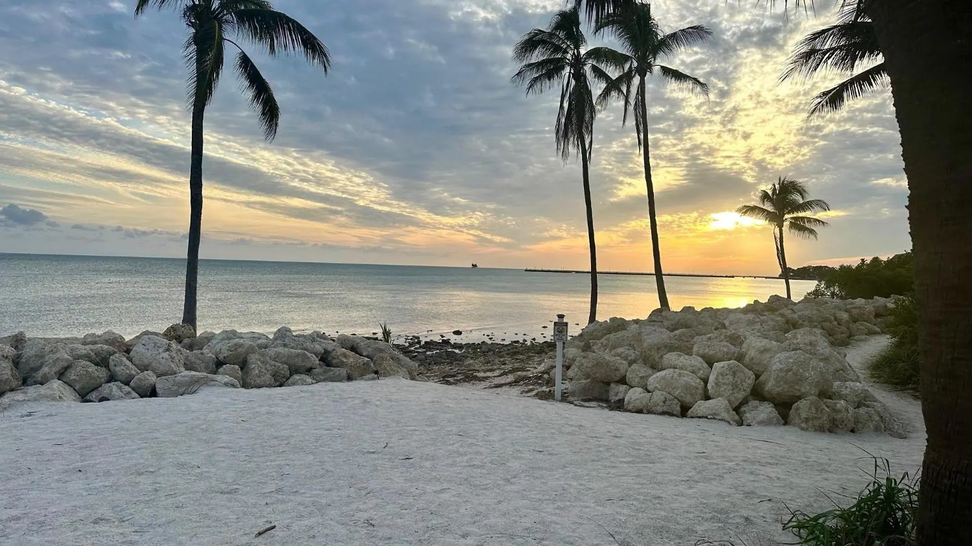 Tropical Paradise