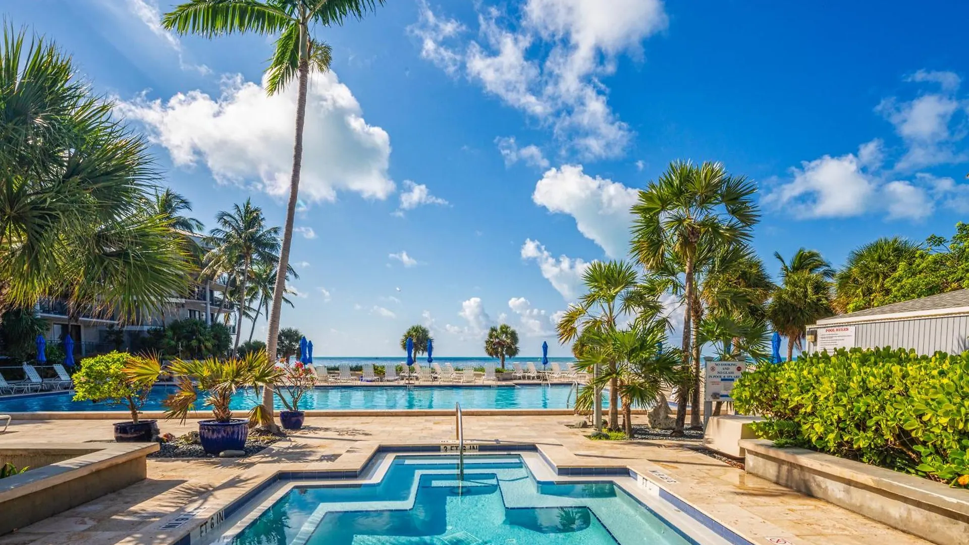Coconut Palms *
