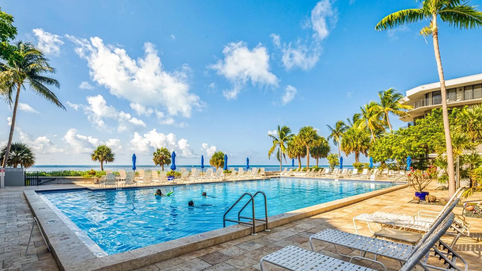 Coconut Palms * Key West