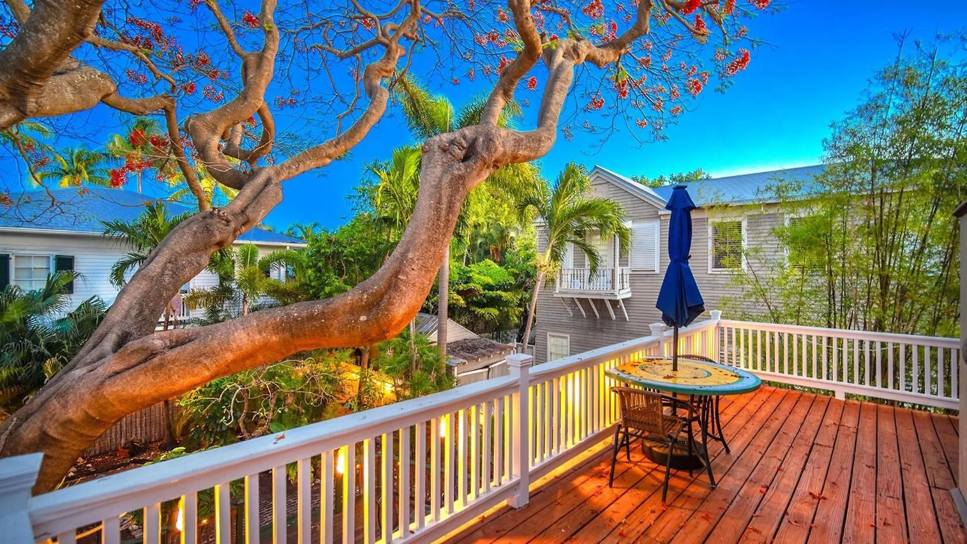 Key Lime Hideaway Hébergement de vacances Key West