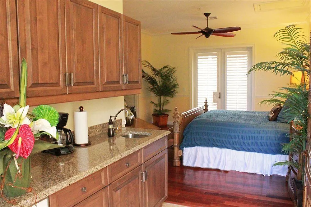 Apartment Harbour Oceanfront