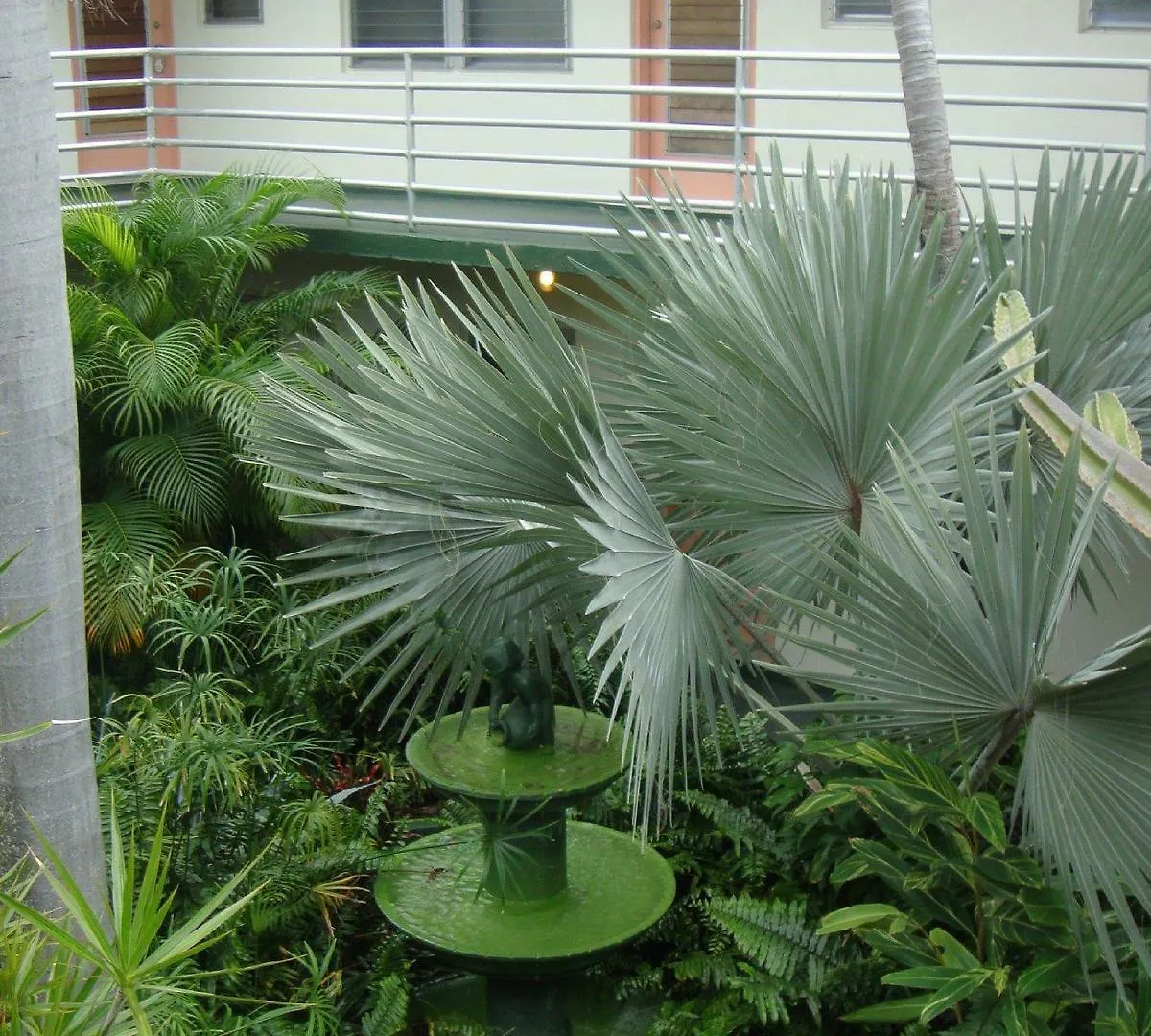 Motel El Patio 2*