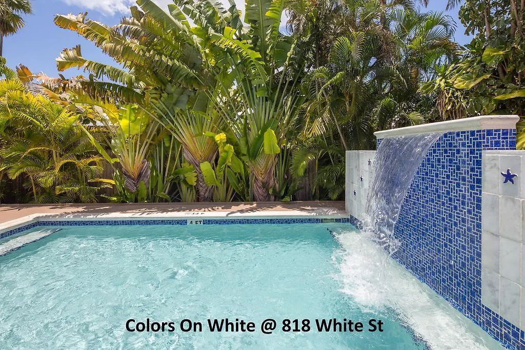 Colors On White