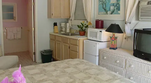 New Orleans House - Gay Male Adult