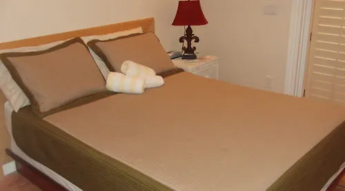 בית הארחה New Orleans House - Gay Male Adult קי וסט