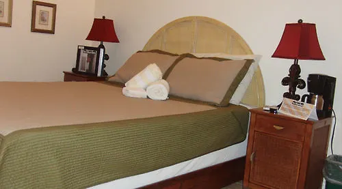 בית הארחה New Orleans House - Gay Male Adult