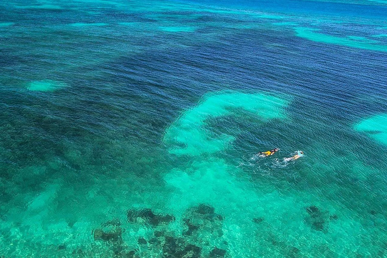 Leeward Isle *
