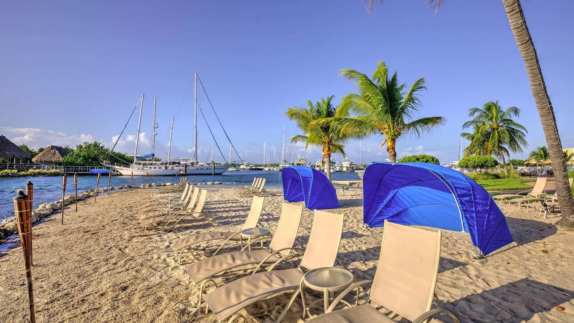 Apartment Harbour Oceanfront