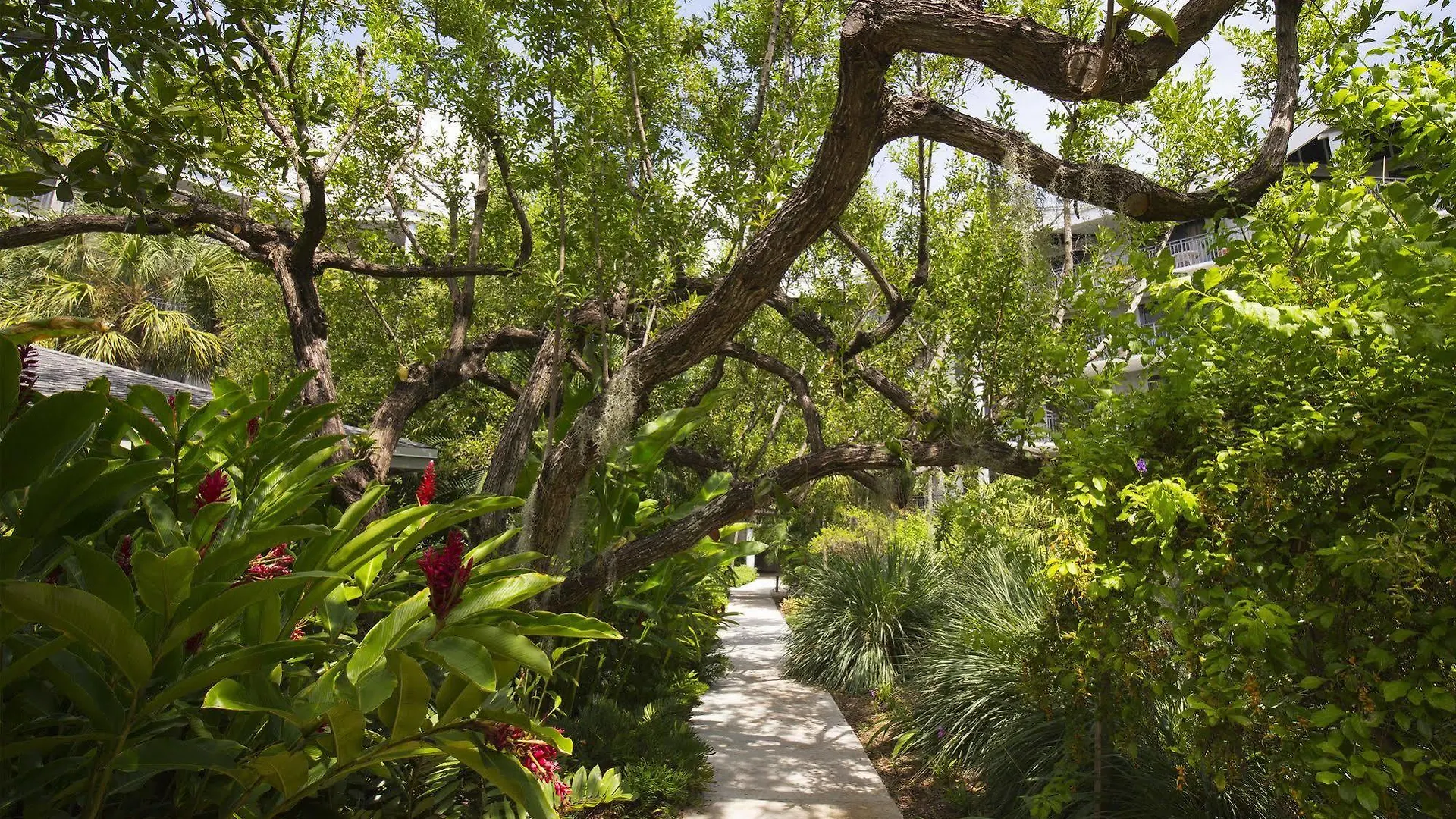 1800 Atlantic * Key West