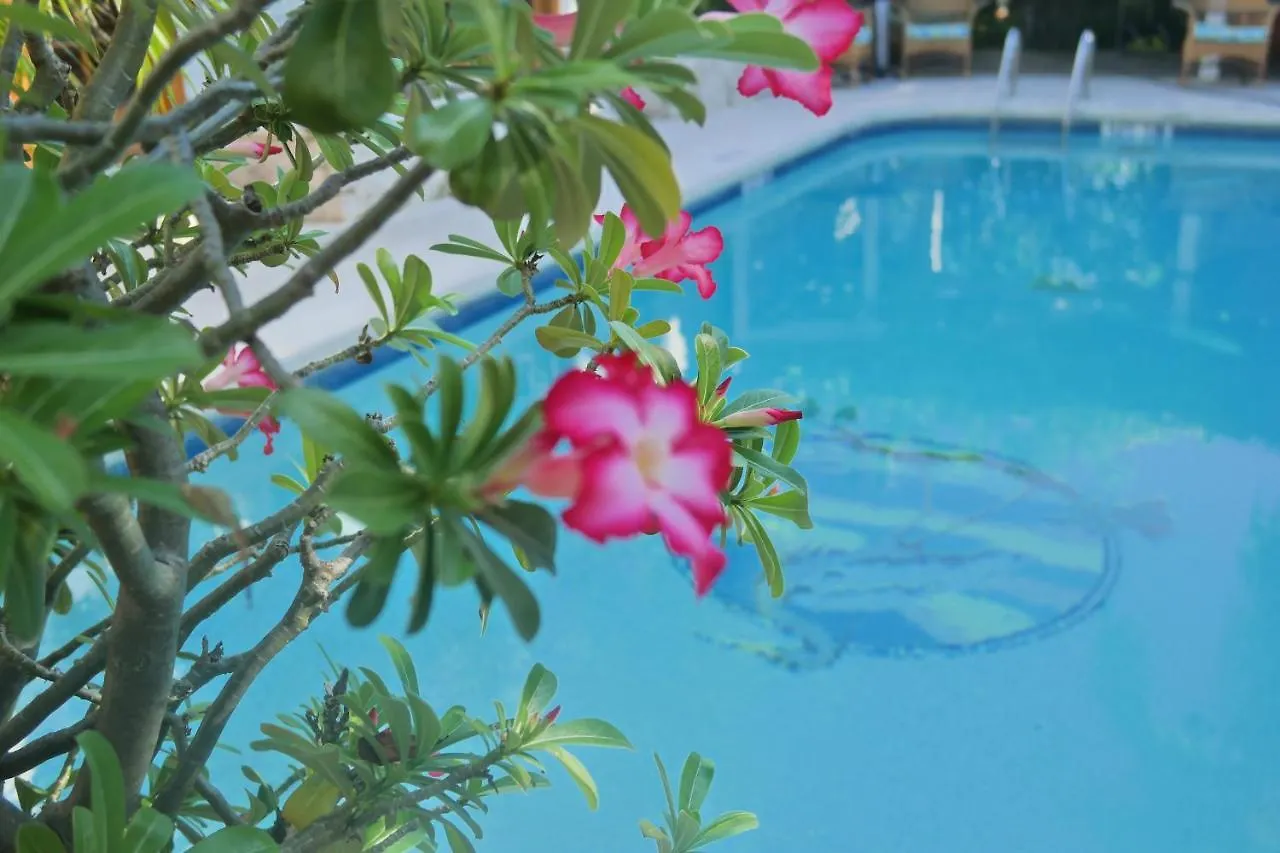 Penzion Heron House (adults Only) Key West
