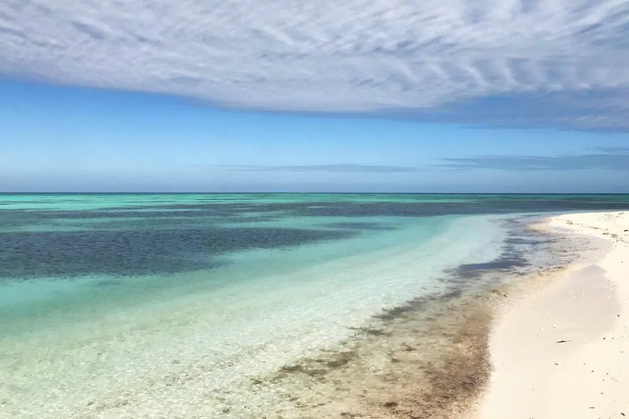 Leeward Isle